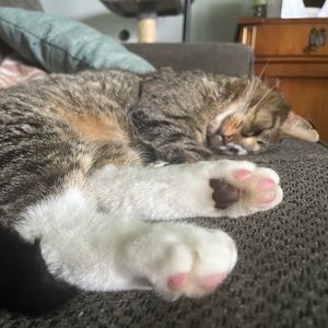 Meet your Posher, Paris